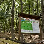 Campsite Daunia Avventura