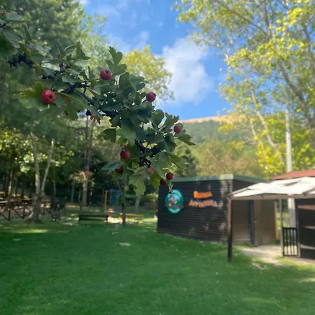 Camping Daunia Avventura *