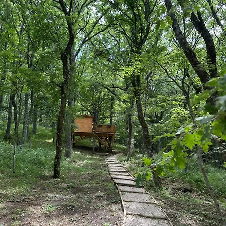 Daunia Avventura Camping