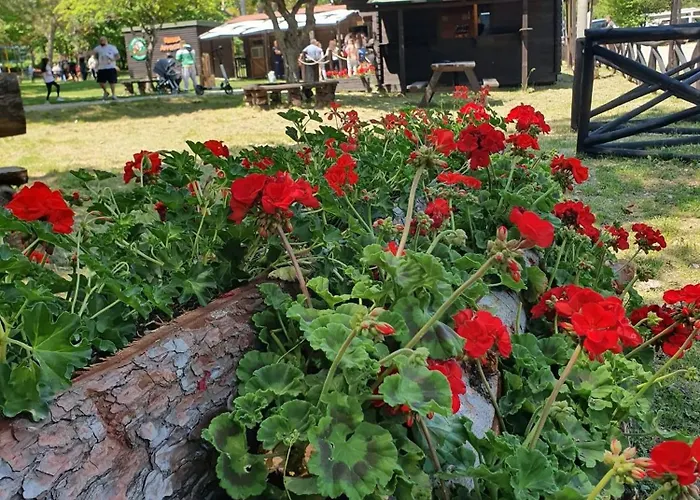 Daunia Avventura Campingplads